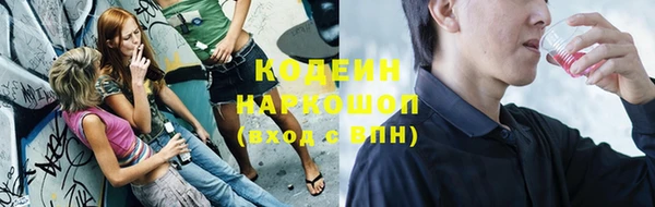 ГАЛЛЮЦИНОГЕННЫЕ ГРИБЫ Верея