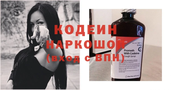 ГАЛЛЮЦИНОГЕННЫЕ ГРИБЫ Верея