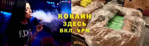 ГАЛЛЮЦИНОГЕННЫЕ ГРИБЫ Верея