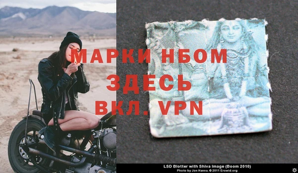 ГАЛЛЮЦИНОГЕННЫЕ ГРИБЫ Верея