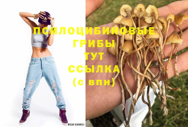 крисы Верхнеуральск