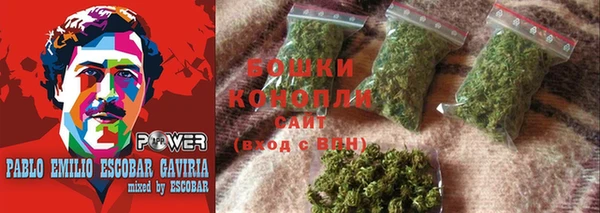 ГАЛЛЮЦИНОГЕННЫЕ ГРИБЫ Верея